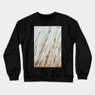 Wandering Through an Autumn Day x mint green nature photo Crewneck Sweatshirt